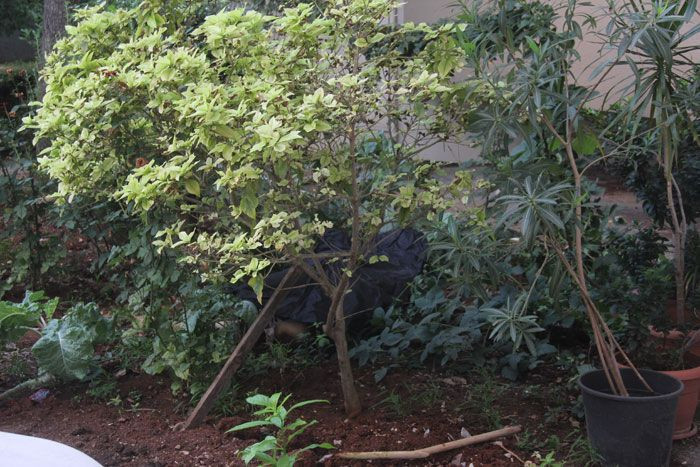 Adana'da komşularını ölü bulan vatandaşlar şok oldu - Resim: 3