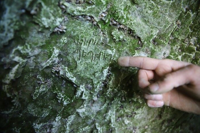Sular çekilince ortaya çıktı! Elazığ'da görenler hayrete düştü: Çok önemli bir yazı - Resim: 3