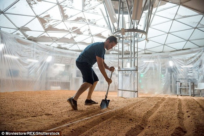 Mars toprağına ekilen domateslere bakın - Resim: 1