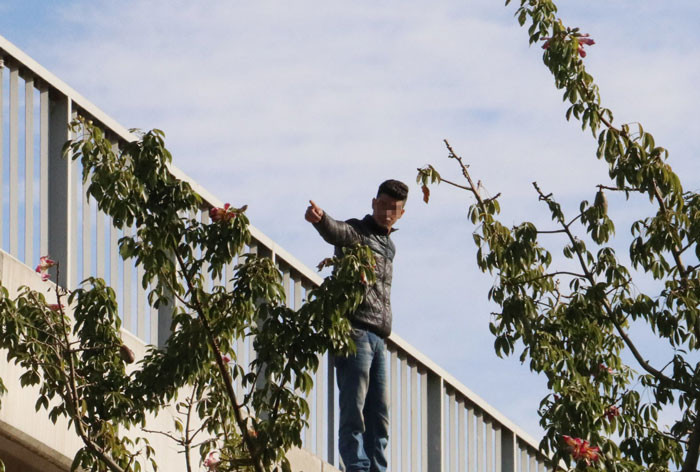 Sevgilisiyle görüşemeyen çılgın aşık özel harekatı alarma geçirdi!  - Resim: 4