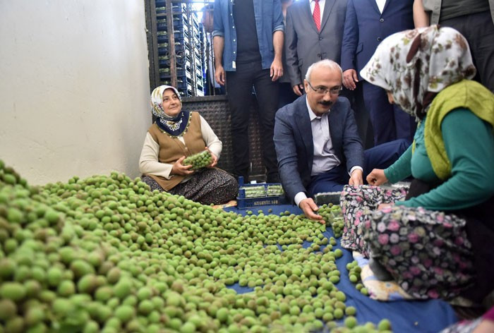 Bakan Elvan şalvar giyip erik paketledi - Resim: 2