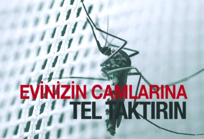 Zika Virüsü nedir? Korunmak için 10 yöntem - Resim: 3