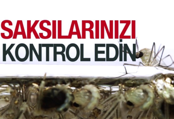 Zika Virüsü nedir? Korunmak için 10 yöntem - Resim: 4