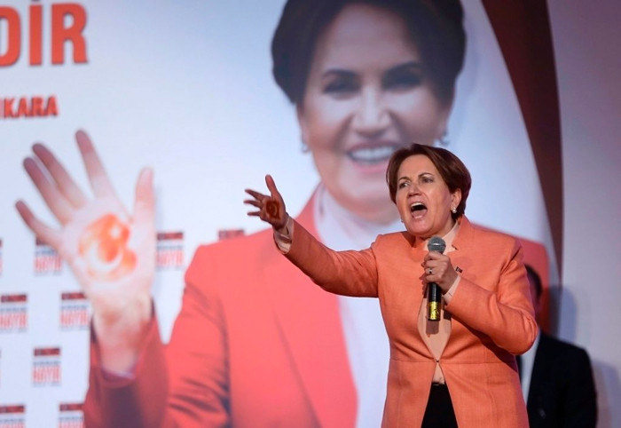 Meral Akşener'in 'İyi Parti'sinin logosu alıntı mı?  - Resim: 1