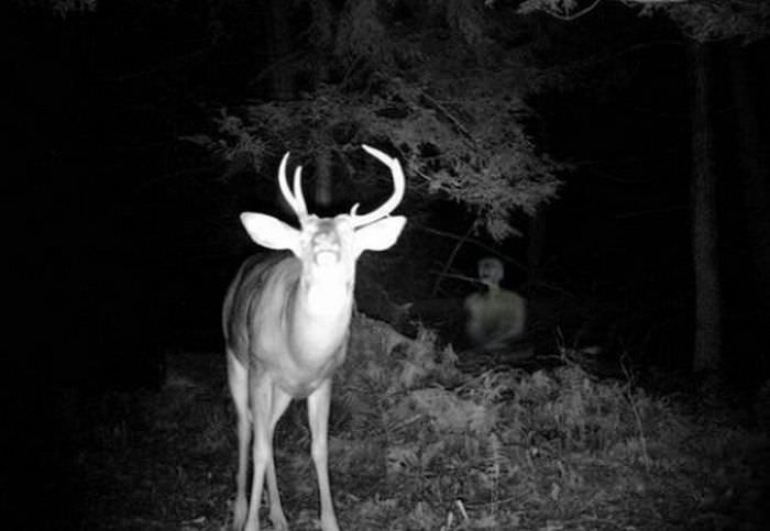 Tüm dünya bu kareyi konuşuyor tüyler ürperten detay - Resim: 1