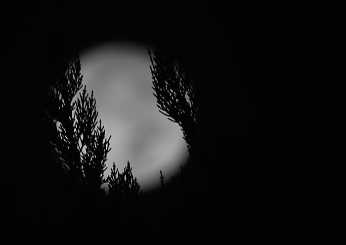 Süper ay deprem kehaneti! Ne dediyse aynen çıktı - Resim: 3