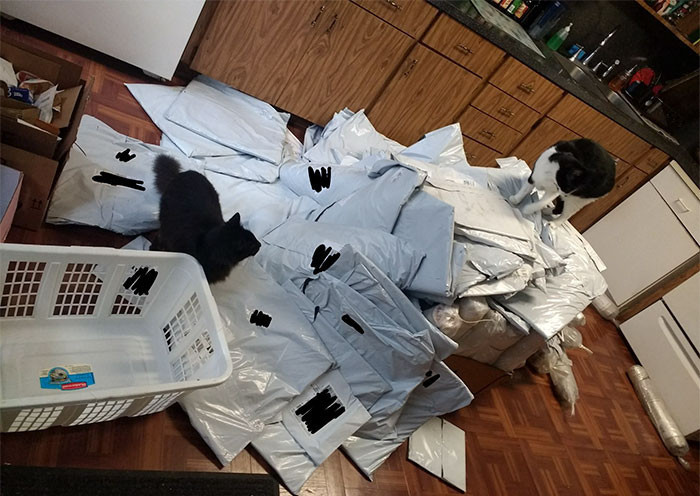 İnternetten bedava numune istedi  gelenlere şoke oldu - Resim: 4