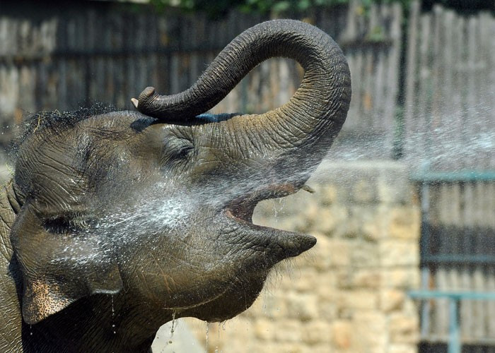 Türkiye kavruluyor peki aşırı sıcakların nedeni ne? - Resim: 2
