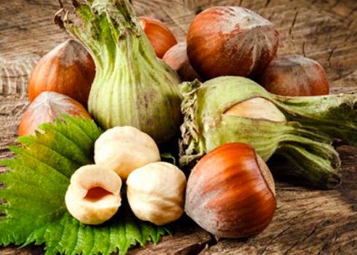 'Çiğ fındık'la sağlık depolayın! İşte fındık mucizesi... - Resim: 2