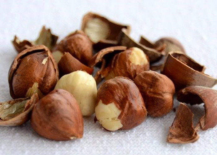 'Çiğ fındık'la sağlık depolayın! İşte fındık mucizesi... - Resim: 3