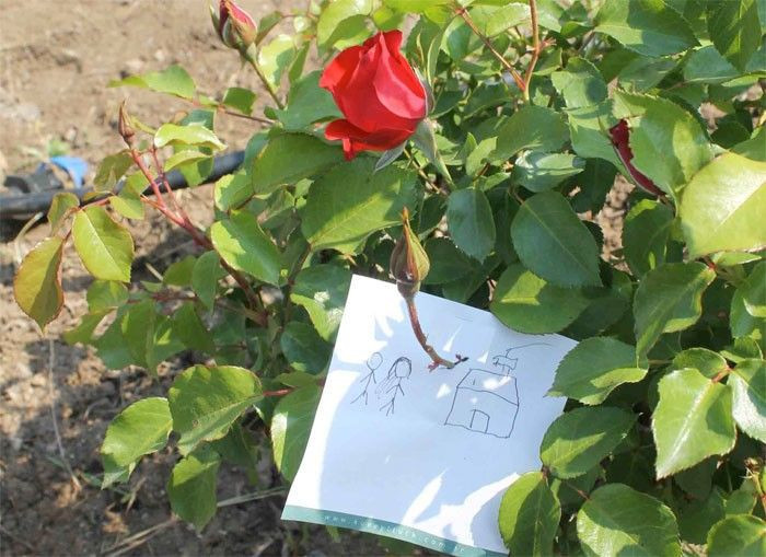 Hıdırellez dilek duası nasıl okunuşu hıdırellez 2019 gelenekleri - Resim: 3