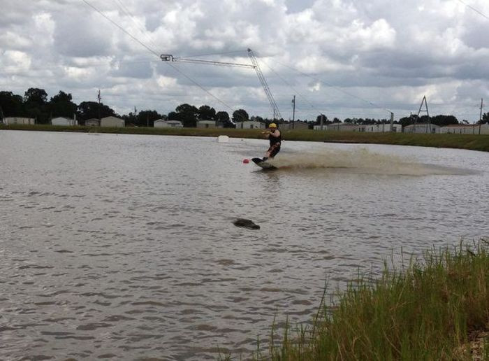 İşte günün en komik fotoğrafları - Resim: 3