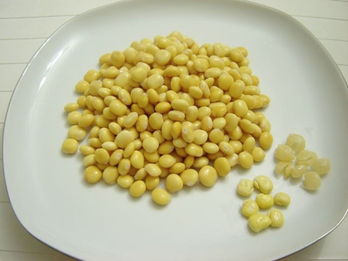 Termiye'nin faydaları saymakla bitmiyor! - Resim: 3