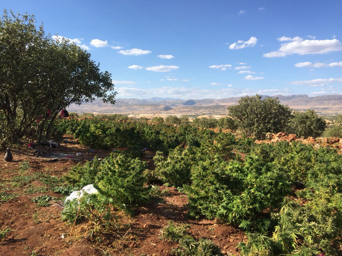 Diyarbakır'da terör örgütü PKK'ya ağır darbe! - Resim: 3