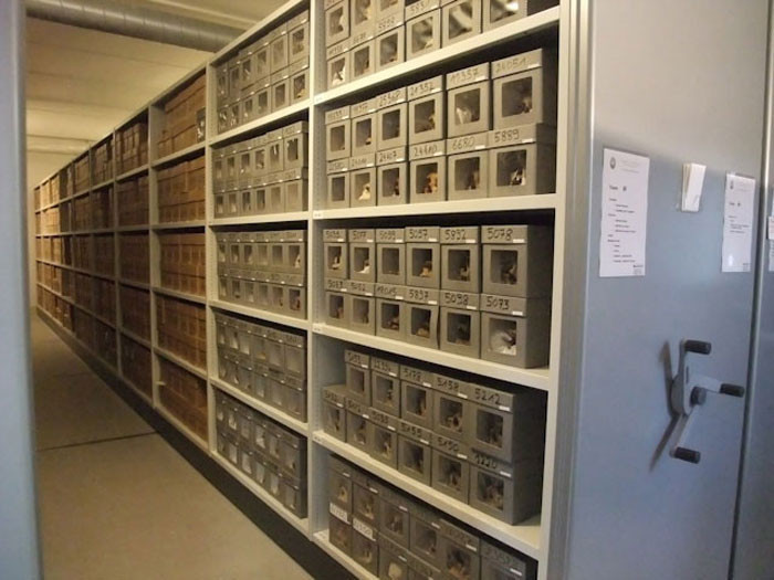 Cezayir'de soykırım yapıp kafataslarıyla Paris'te müze açmışlar! - Resim: 3