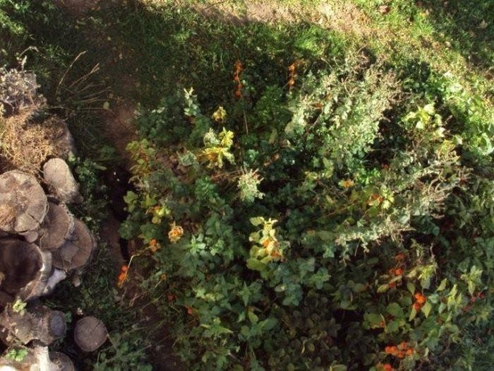 Bu fotoğraftaki detayı bulabilmek kabiliyet istiyor! - Resim: 3