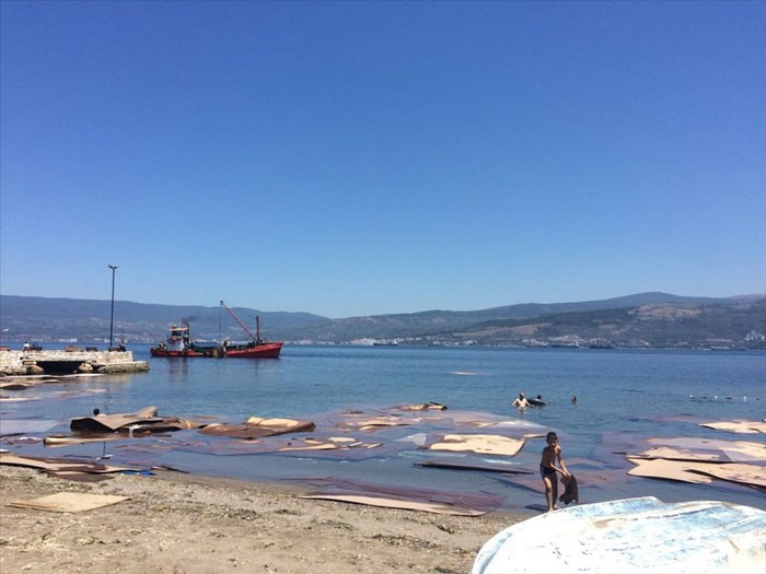 Bursa'da büyük felaket binlercesi kıyıya vurdu - Resim: 1