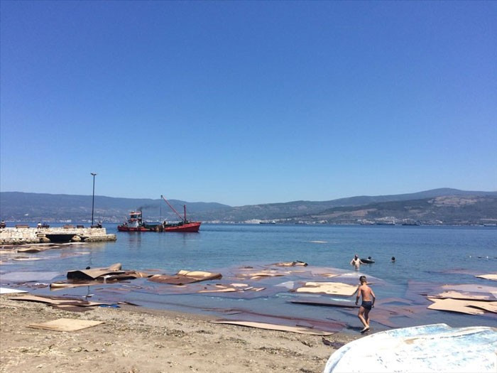 Bursa'da büyük felaket binlercesi kıyıya vurdu - Resim: 2