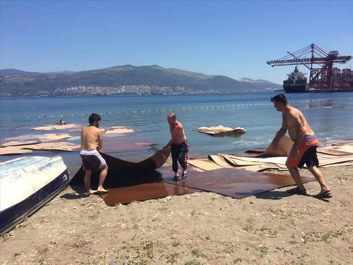 Bursa'da büyük felaket binlercesi kıyıya vurdu - Resim: 3