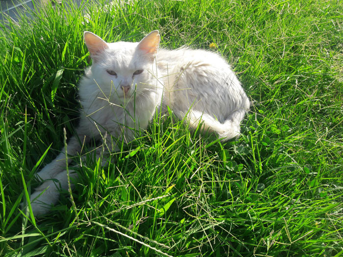 Sosyal medya bu yazıyı konuşuyor: Vicdan yoksunu kişiler - Resim: 3