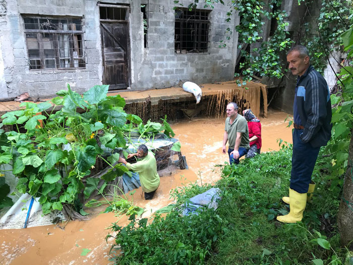 Rize'de sel felaketi başkan bu mesajı attı: Batıyoruz! - Resim: 4