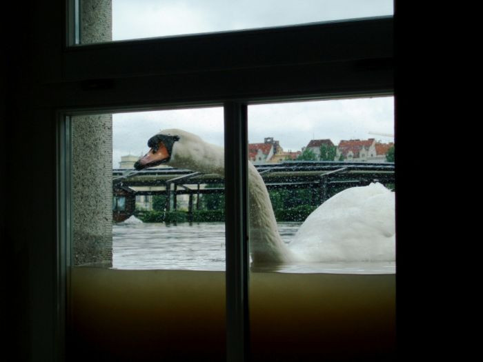 Günün en komik ve en ilginç fotoğrafları - Resim: 4