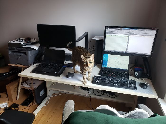 Korona günlerinde evde çalışanlardan ilginç görüntüler! - Resim: 1