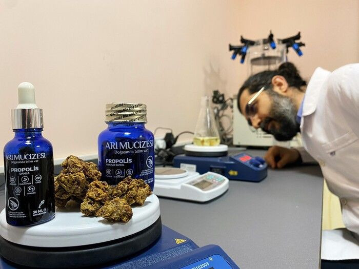 Profesör üretmeyi başardı Düzce'de taleplere yetişemiyor! Fiyatı duyan şaştı kaldı - Resim: 1