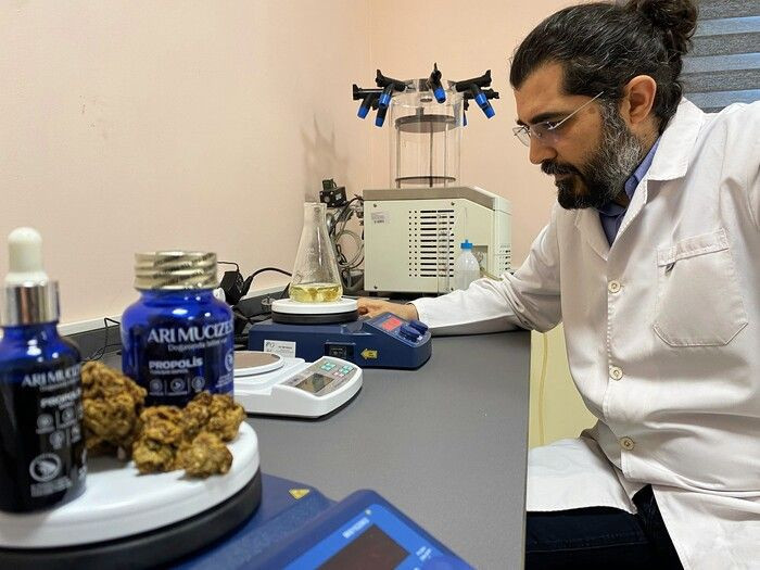 Profesör üretmeyi başardı Düzce'de taleplere yetişemiyor! Fiyatı duyan şaştı kaldı - Resim: 3