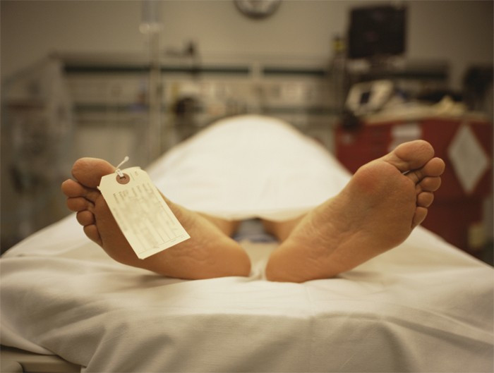 O partiden skandal teklif ensest ilişki yasal olmalı - Resim: 1