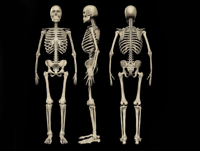 O partiden skandal teklif ensest ilişki yasal olmalı - Resim: 2