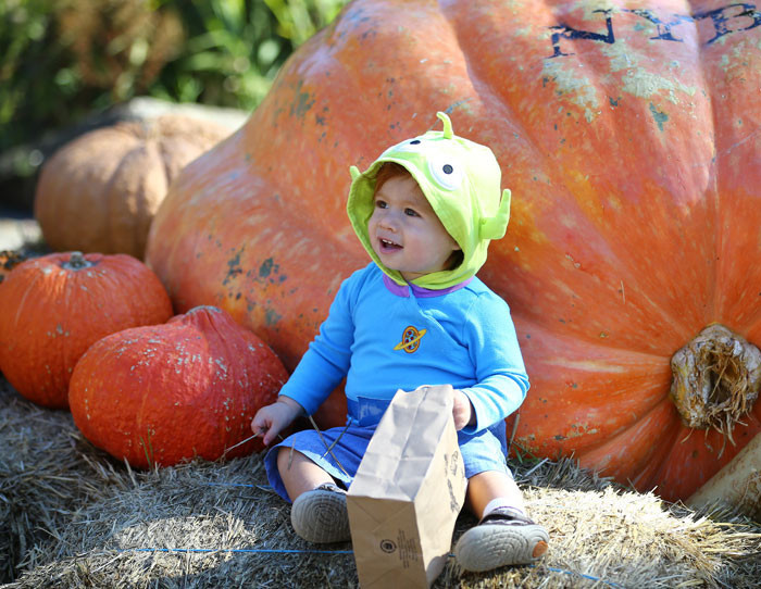 Cadılar Bayramı'na damga vurdu! İnanamayacaksınız, tam 1 ton!.. - Resim: 2
