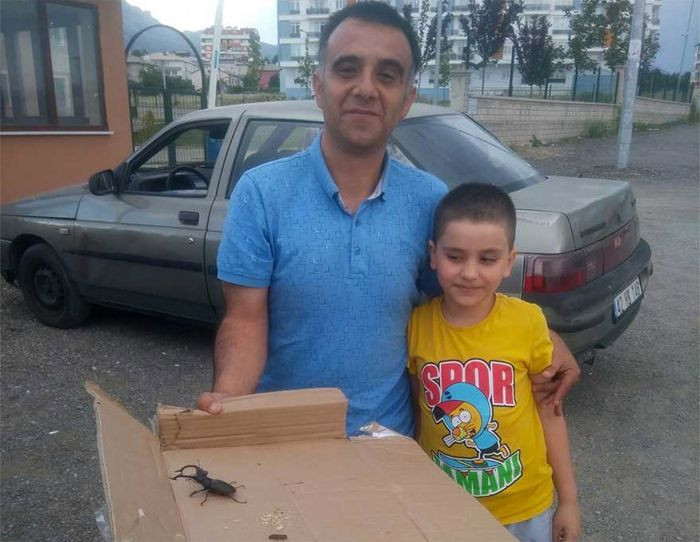 Servet değerinde geyik böceği Konya'da bulundu! Sakın öldürmeyin - Resim: 2