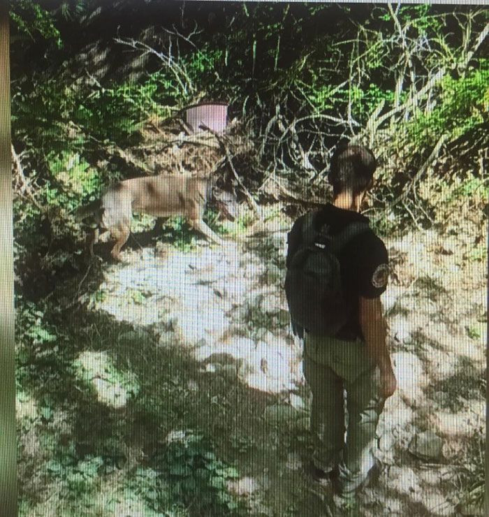 Adana'da hamile kadını öldürüp valizle atan katil bakın kim çıktı - Resim: 2