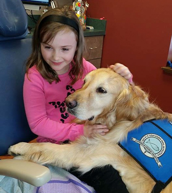 Bu diş doktorunun asistanı bir köpek - Resim: 3