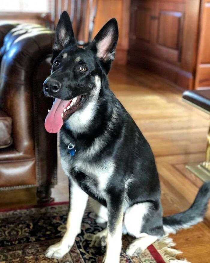 Bunu yapmayan tek ABD Başkanı Trump'tı! Biden Major'u da yanında getiriyor - Resim: 3