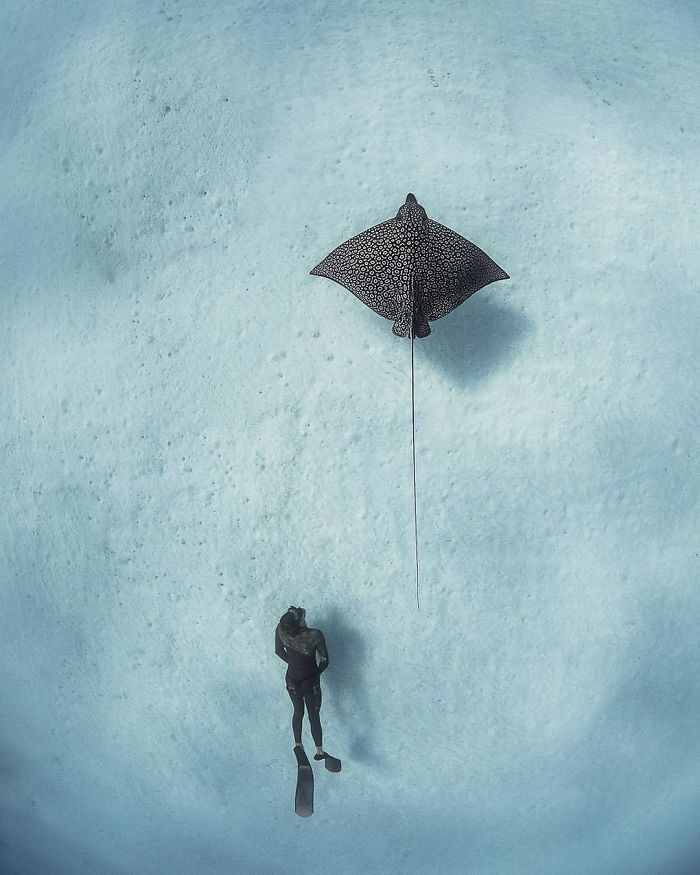 National Geographic seçti işte Instagram fotoğraf yarışmasının kazananları - Resim: 2