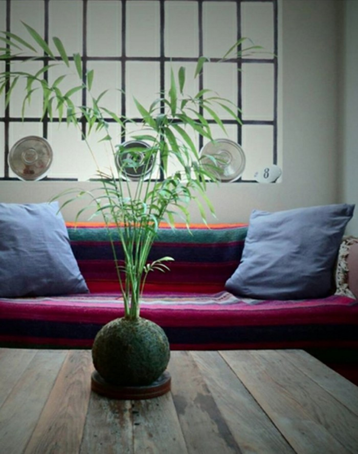 Ev ve ofislerin vazgeçilmezi saksı çiceklerini birde böyle kullanın - Resim: 2