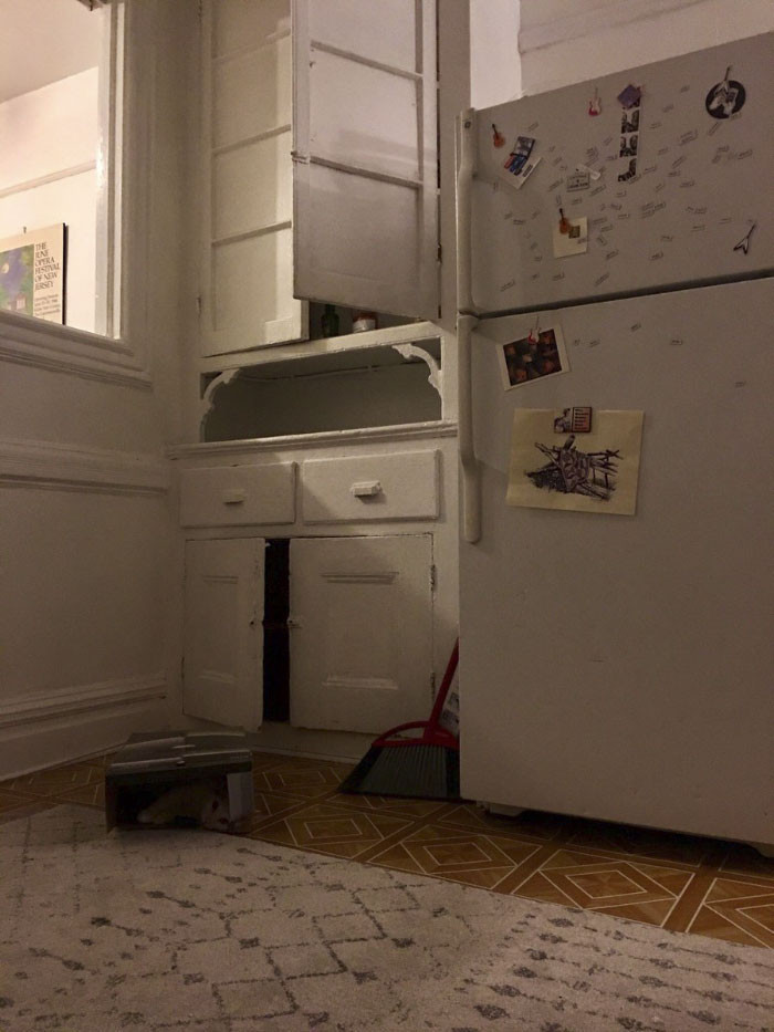 İnternetin yeni eğlencesi: Kediyi bulun - Resim: 1