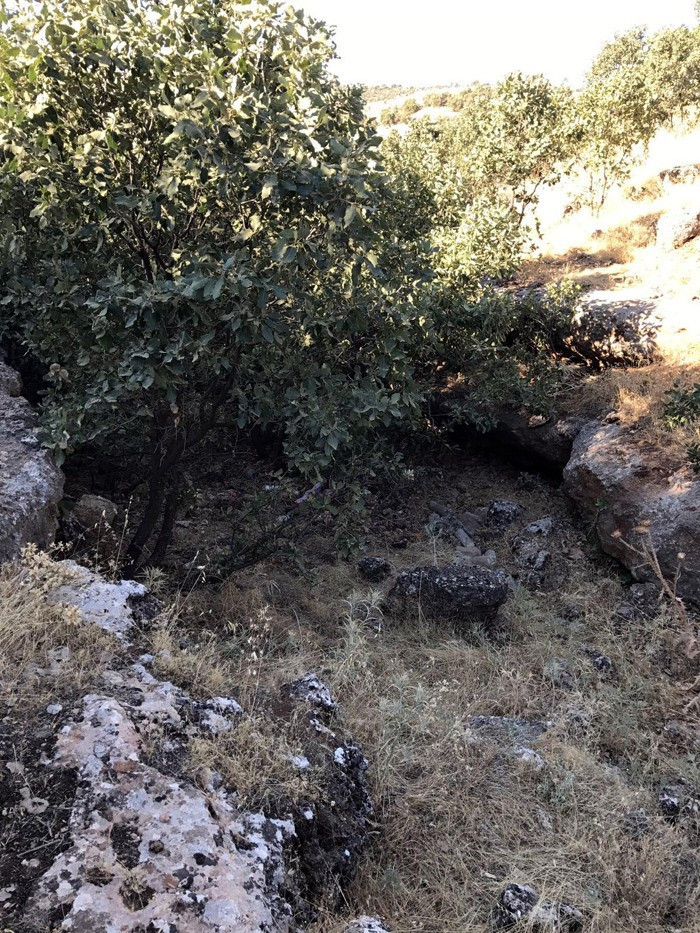 Jandarma Mardin'de buldu! Bidonun kapağını kaldırınca - Resim: 3