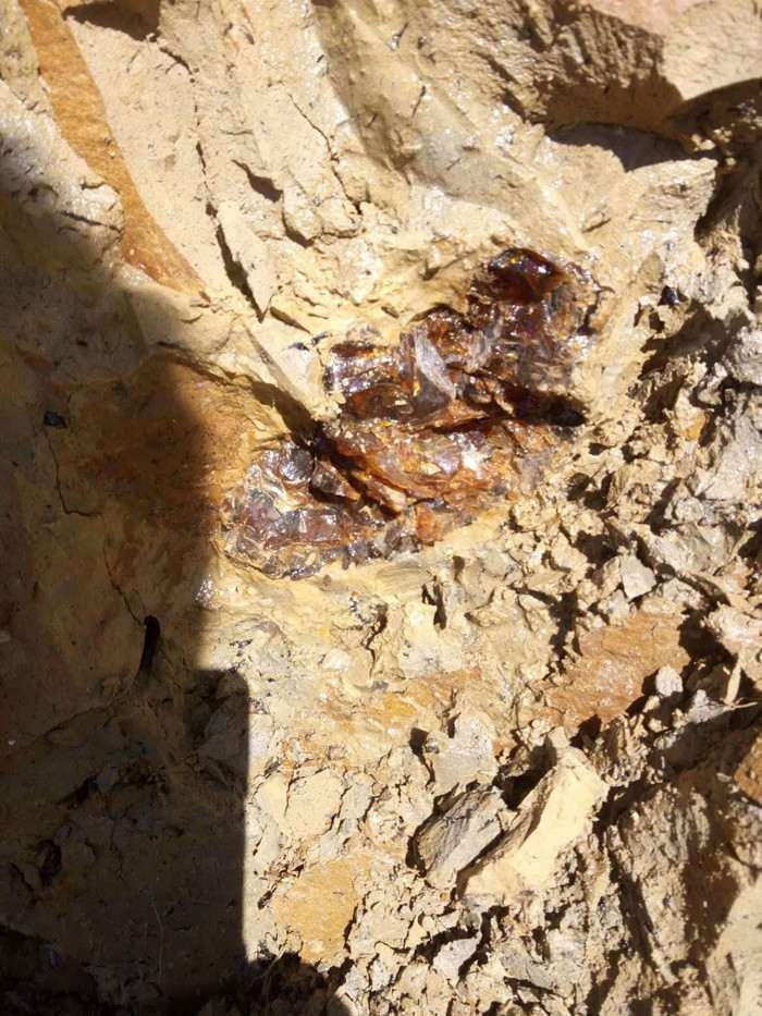 Bayburt'ta keşfedildi birçok ülke sıraya girdi - Resim: 4