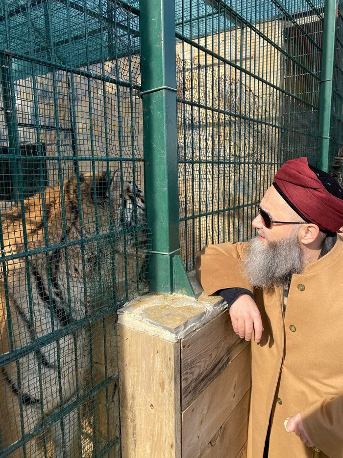 Cübbeli Ahmet Hoca'yı hiç böyle görmemiştik! Boz ayıyı elleriyle besledi - Resim: 1