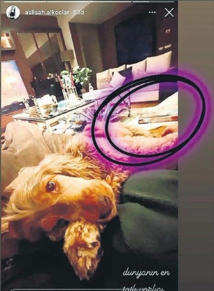 Hülya Koçyiğit'in torunu Aslışah Alkoçlar'ın paylaşımları olay! Hamileliği yalanlamıştı - Resim: 4