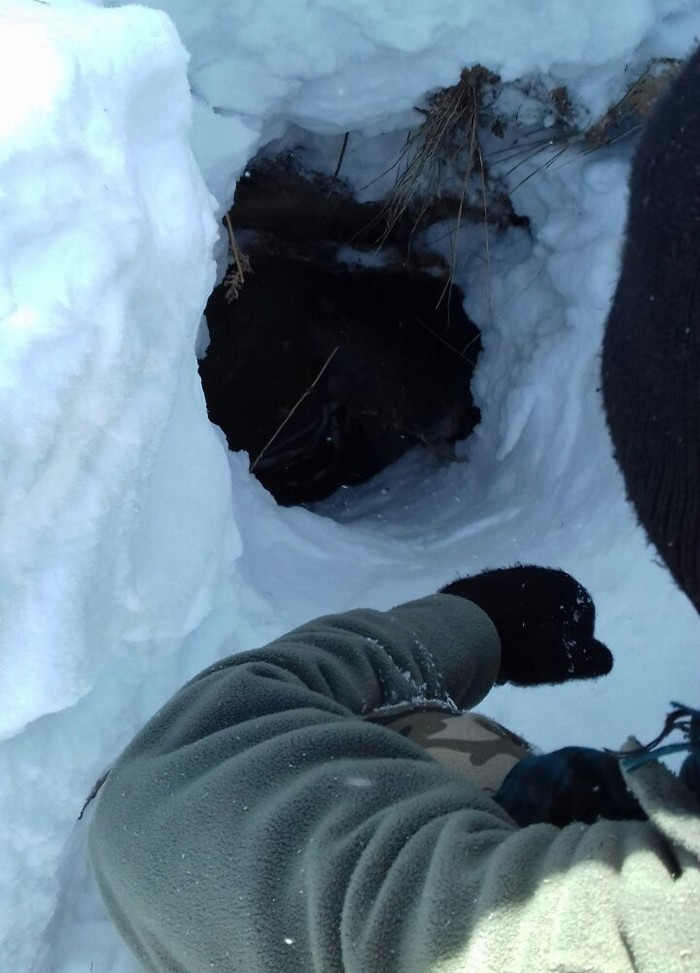 Bingöl'de PKK operasyonu imha edildiler - Resim: 1