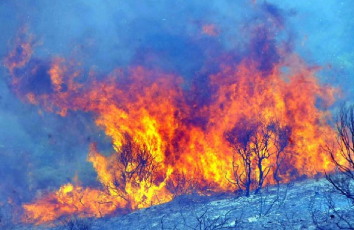 Bodrum'da kabus yaşanıyor - Resim: 4