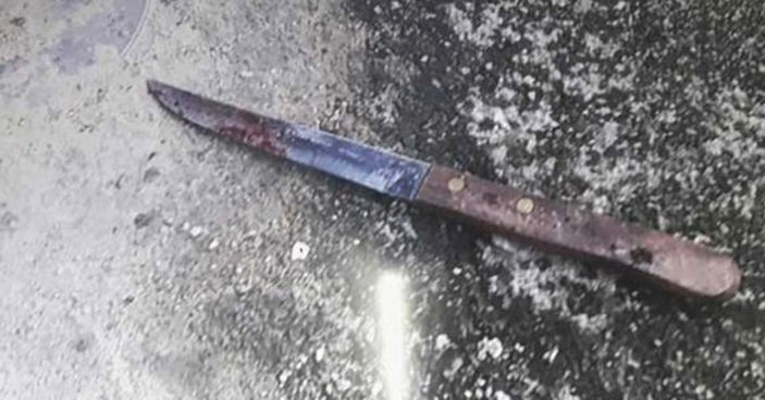 Arkadaşını karısına saldırırken yakaladı cinsel organını kesip köpeklere attı - Resim: 1