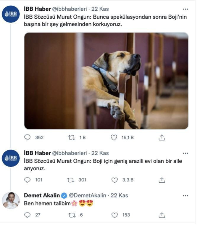 İBB tramvayında 'kaka kumpası' kurulan Boji'yi Demet Akalın sahiplenmek istiyor - Resim: 3