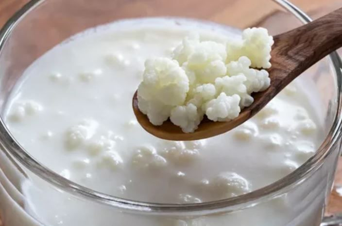 Sahurda tok tutan susuzluğa iyi gelen içecek tarifi kefir müthiş etkili! - Resim: 1