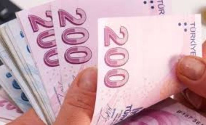 Metropoll’den bomba 'asgari ücret' anketi - Resim: 4