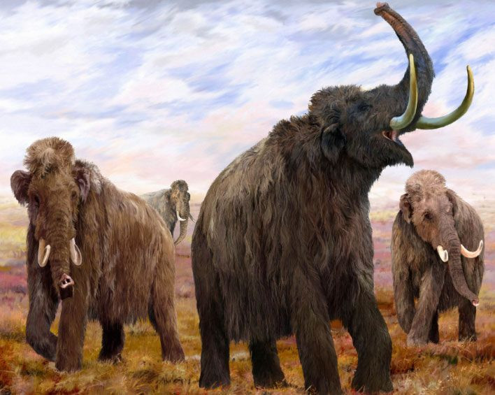 5 bin yıl önce yok olmuşlardı! Dünyaya geri dönüyorlar - Resim: 3